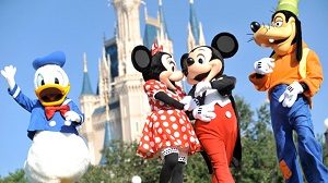 Lessons Learned from Disney World Florida