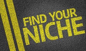 Don’t Avoid It Any Longer, You Do Need a Niche